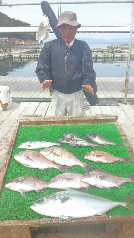 海の釣堀 海恵 釣果