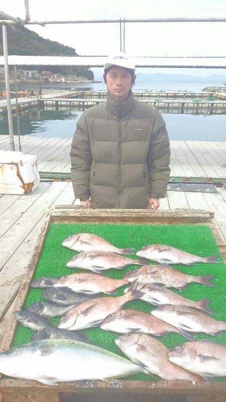 海の釣堀 海恵 釣果