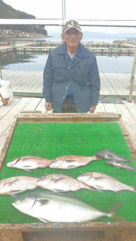 海の釣堀 海恵 釣果