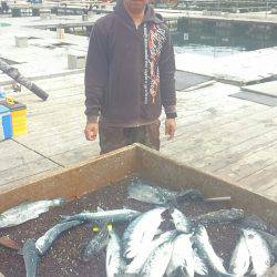 海の釣堀 海恵 釣果
