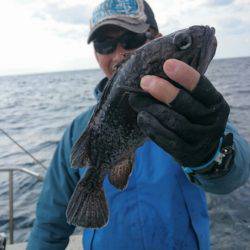 ARCADIAⅡ （アルカディアⅡ） 釣果