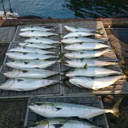 ARCADIAⅡ （アルカディアⅡ） 釣果