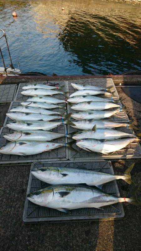 ARCADIAⅡ （アルカディアⅡ） 釣果…