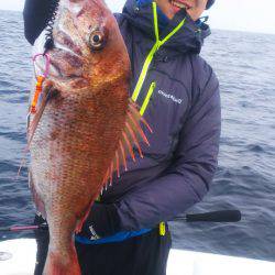 ブルドック 釣果