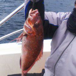 ブルドック 釣果