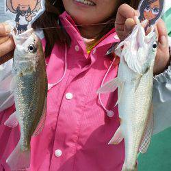 金沢八景鴨下丸 釣果