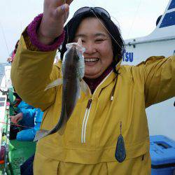 金沢八景鴨下丸 釣果