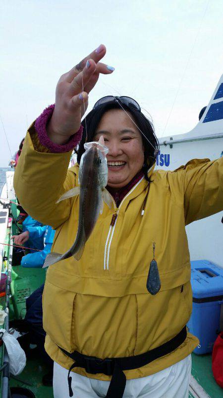 金沢八景鴨下丸 釣果