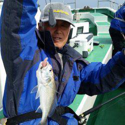 金沢八景鴨下丸 釣果