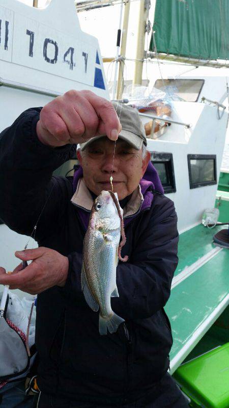 金沢八景鴨下丸 釣果