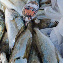 金沢八景鴨下丸 釣果