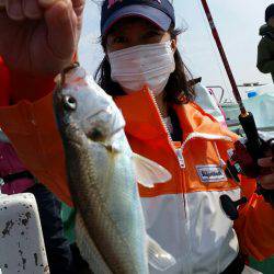 金沢八景鴨下丸 釣果