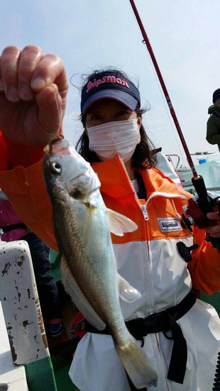 金沢八景鴨下丸 釣果