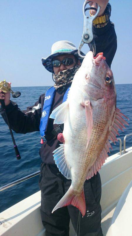 ARCADIAⅡ (アルカディアⅡ) 釣果