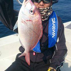 ARCADIAⅡ (アルカディアⅡ) 釣果