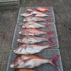 ARCADIAⅡ (アルカディアⅡ) 釣果