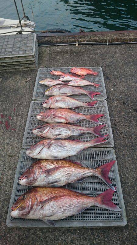 ARCADIAⅡ （アルカディアⅡ） 釣果…