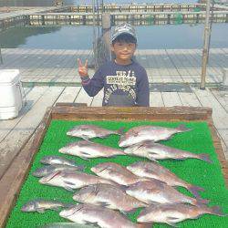 海の釣堀 海恵 釣果