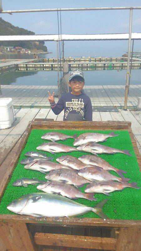 海の釣堀 海恵 釣果