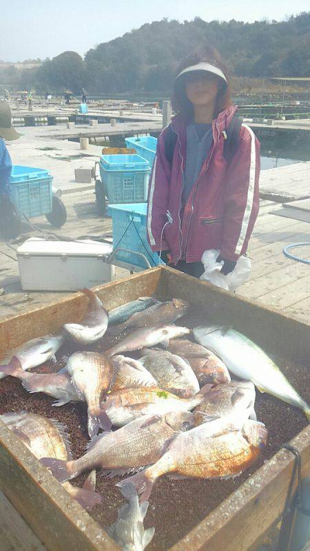 海の釣堀 海恵 釣果