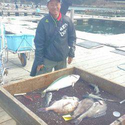 海の釣堀 海恵 釣果