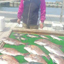 海の釣堀 海恵 釣果