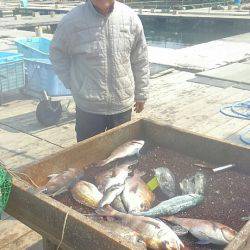 海の釣堀 海恵 釣果