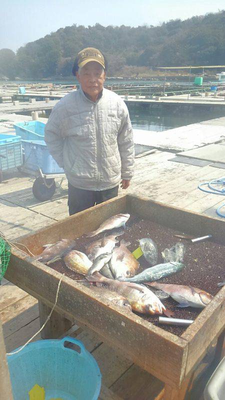 海の釣堀 海恵 釣果