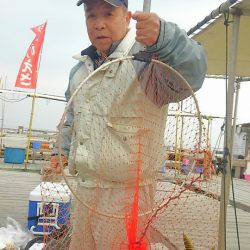 海の釣堀 海恵 釣果