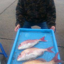 第三共栄丸 釣果