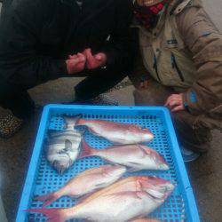 第三共栄丸 釣果