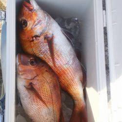 ブルドック 釣果