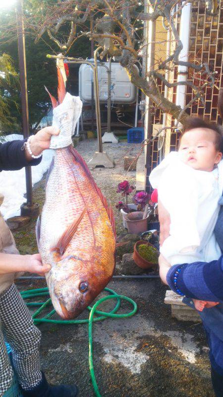 ブルドック 釣果