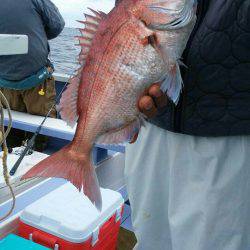 新幸丸 釣果