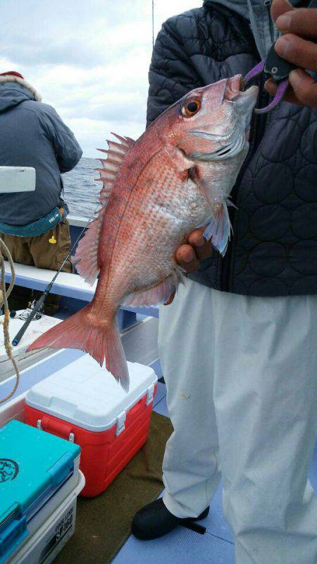 新幸丸 釣果