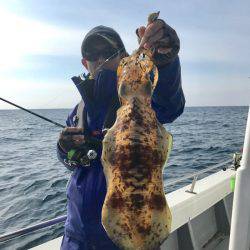 South Current 釣果