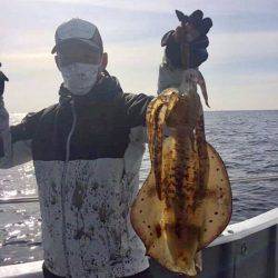 South Current 釣果