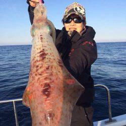 South Current 釣果