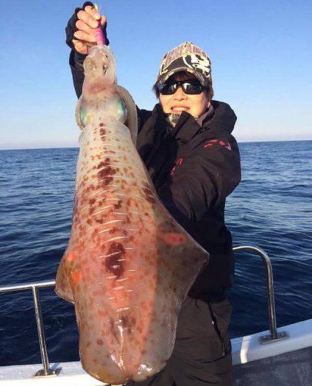 South Current 釣果