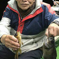 小島丸 釣果