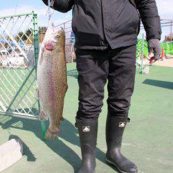 としまえんフィッシングエリア 釣果