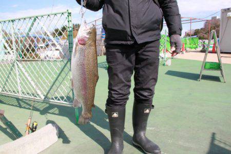 としまえんフィッシングエリア 釣果