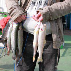 としまえんフィッシングエリア 釣果