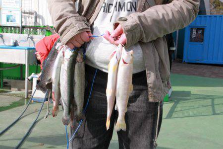 としまえんフィッシングエリア 釣果