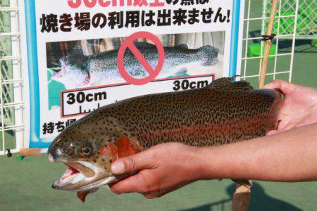 としまえんフィッシングエリア 釣果