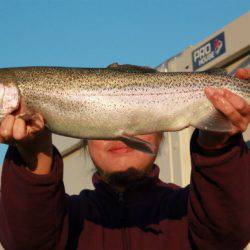 としまえんフィッシングエリア 釣果