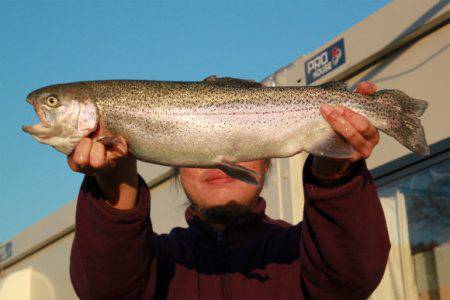 としまえんフィッシングエリア 釣果