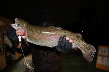 としまえんフィッシングエリア 釣果