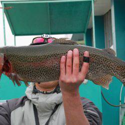 としまえんフィッシングエリア 釣果