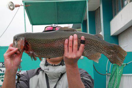 としまえんフィッシングエリア 釣果